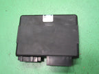 CAMARO FIREBIRD F-BODY BCM INTERGRATED BODY CONTROL CAK MODULE 1624396